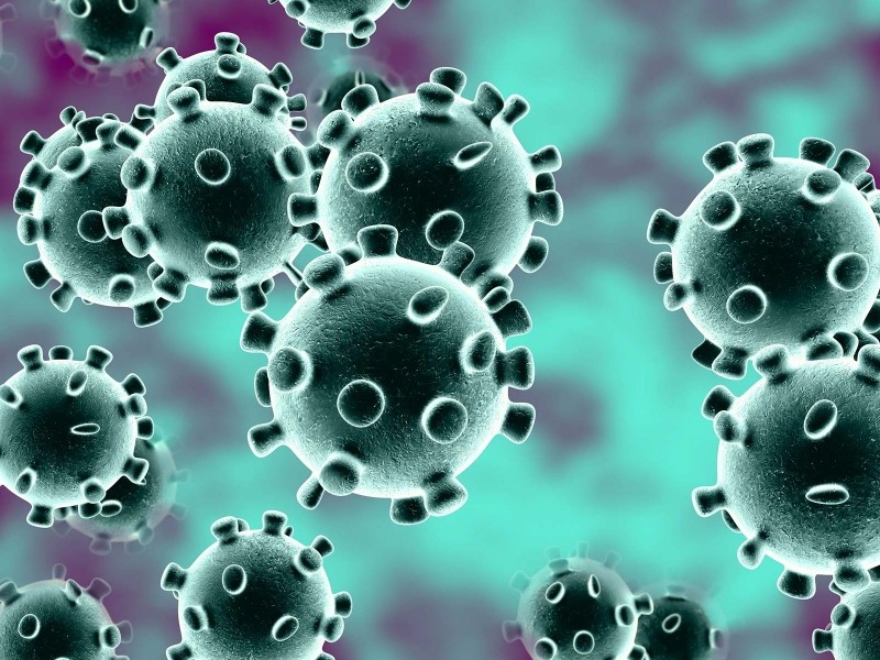 coronavirus.jpg